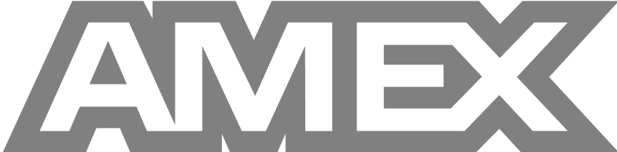 Visa Logo