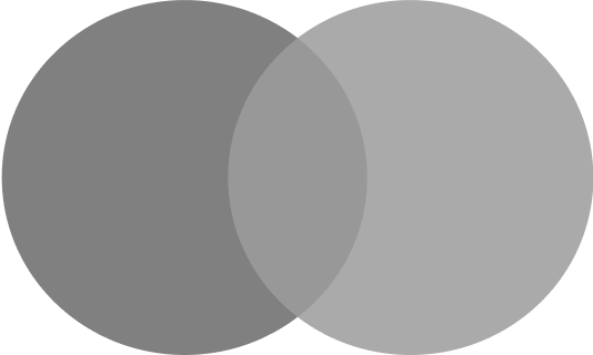 Visa Logo