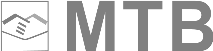Visa Logo